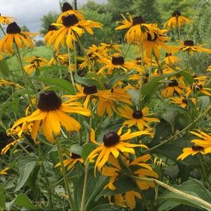 Meet your Posher, Jayden